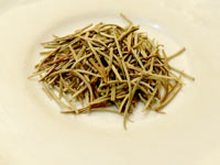 Rosemary